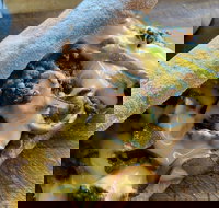 Philly Up - ACT Tourism