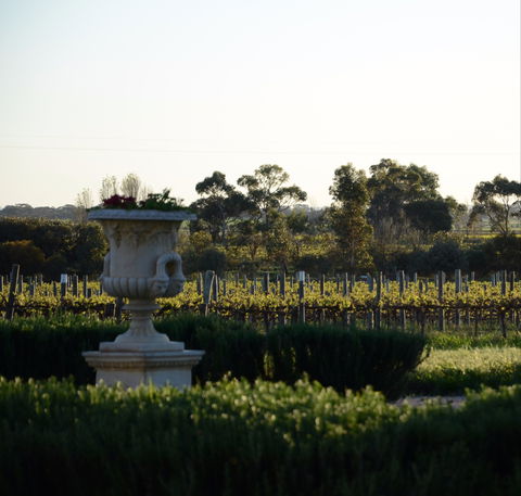 Angas Plains Wines Cellar Door - ACT Tourism 1