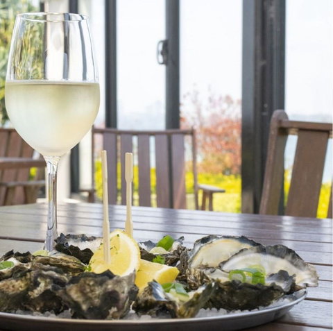 Harrigans Irish Pub And  Harrington River Lodge - ACT Tourism 1