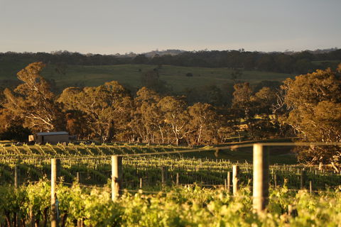 Max & Me Wine Tasting @ Eden Valley Hotel - ACT Tourism 1