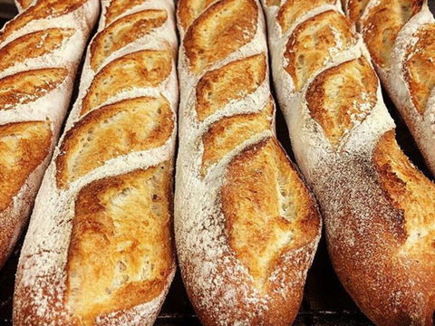 Rottnest Bakery - ACT Tourism 2