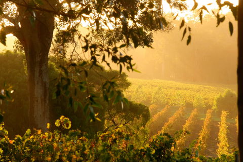 Deep Woods Estate - ACT Tourism 1