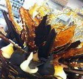 Daily Dose Cafe Wine Bar - ACT Tourism