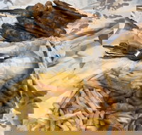 Miami Fish and Chip Shack - ACT Tourism