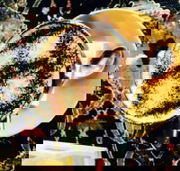 Cafe 3847 - ACT Tourism