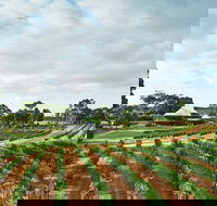 Vasse Felix Winery - ACT Tourism