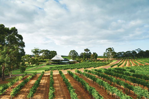 Vasse Felix Winery - ACT Tourism 0