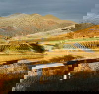Optimiste Wines - ACT Tourism