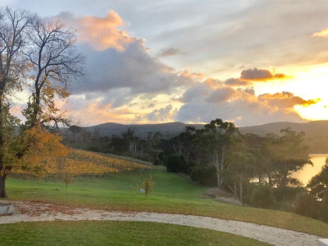 Waterton Hall Wines - ACT Tourism 1