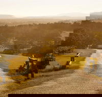 Petersons Wines - ACT Tourism