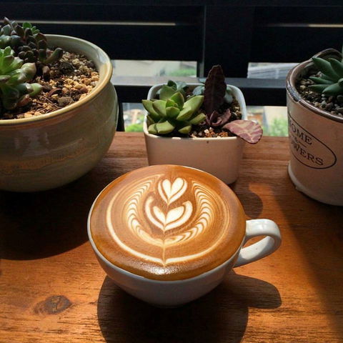 V Espresso - ACT Tourism 0
