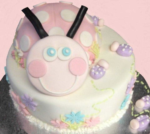 The White House Of Waterford - ACT Tourism 0