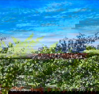 Rowsley Fault Vineyards - ACT Tourism