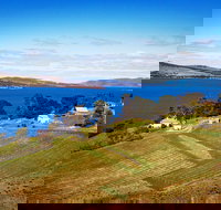 Anim Wine - ACT Tourism