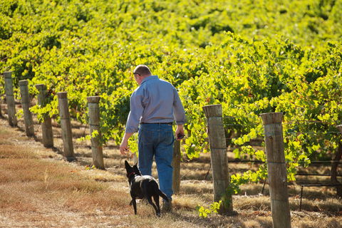 Eden Hall Wines - ACT Tourism 1