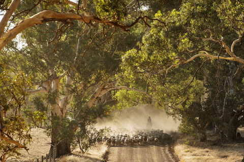 Eden Hall Wines - ACT Tourism 2