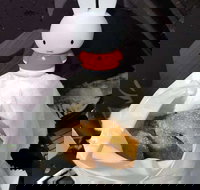 Lil' Orbit - ACT Tourism