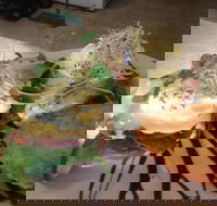 Cafe in the Mountains - ACT Tourism