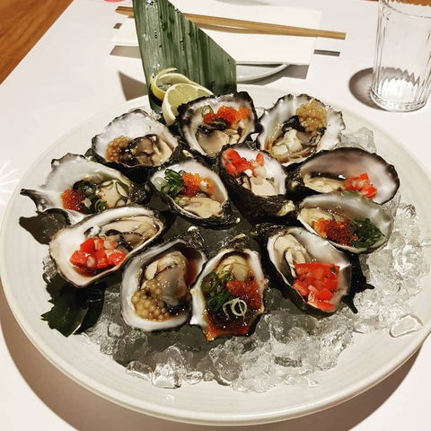 Hikari - ACT Tourism 0