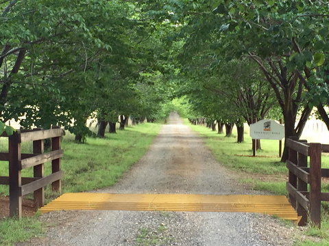 Stockmans Ridge Wines - ACT Tourism 1