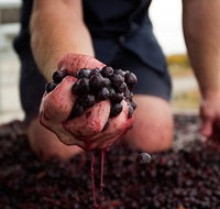 Tomfoolery Wines - ACT Tourism