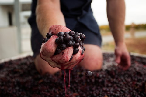 Tomfoolery Wines - ACT Tourism 0
