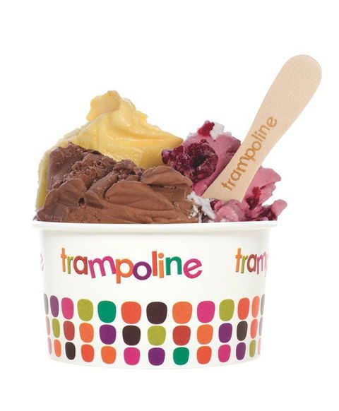 Trampoline Gelato - Doncaster - ACT Tourism 0