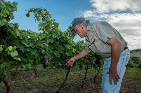 Vale Creek Wines - ACT Tourism 2