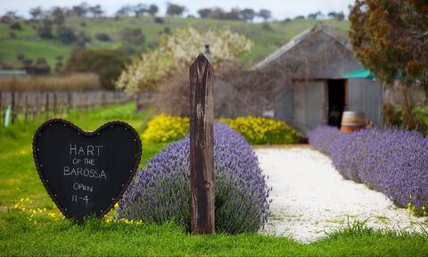 Hart Of The Barossa - ACT Tourism 0