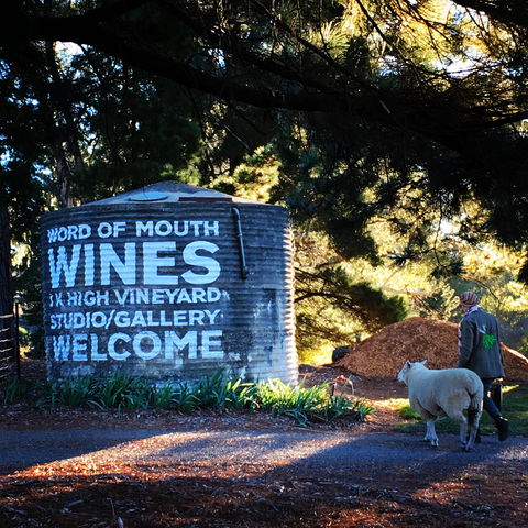 Word Of Mouth Wines - ACT Tourism 1