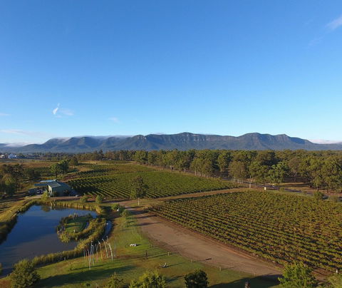 Mistletoe Winery - ACT Tourism 0