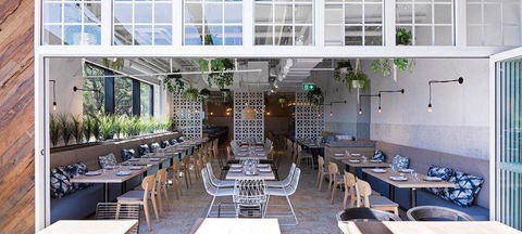 Blue Lake Tandoori Espress - ACT Tourism 3