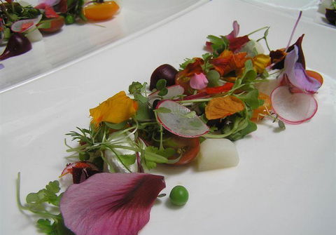 Bluebush Cafe - ACT Tourism 13