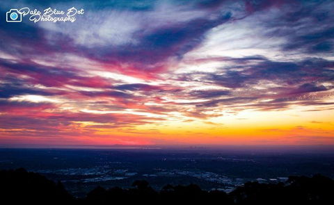 Bluebush Cafe - ACT Tourism 29