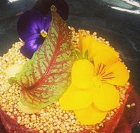 The Shack Cafe - ACT Tourism