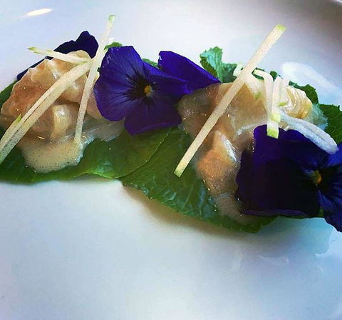 Muse - ACT Tourism 5