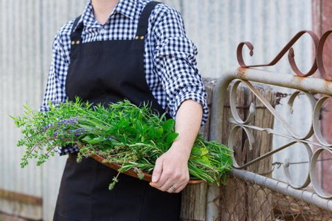 Verdure Bistro - ACT Tourism 0