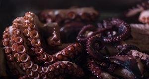 Astor Grill - ACT Tourism 8