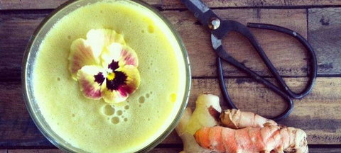 Seed & Husk - ACT Tourism 2