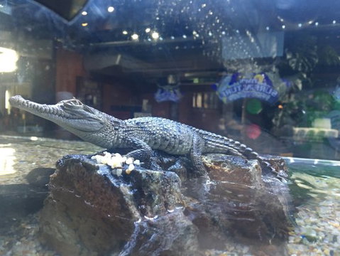 Tim’s Surf ‘n’ Turf - ACT Tourism 0