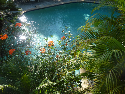 Avoca Beach Hotel - ACT Tourism 0