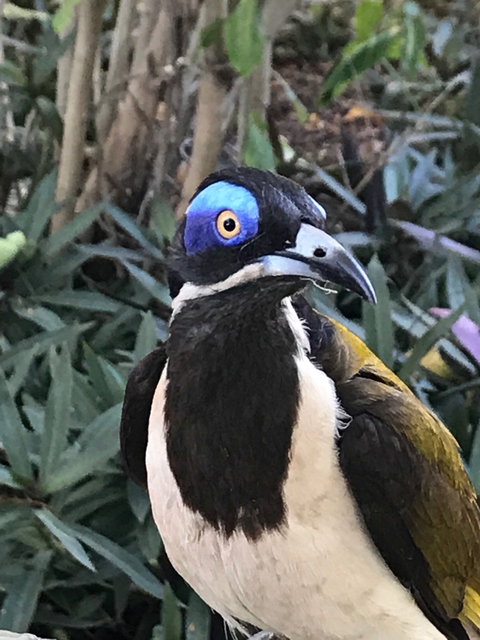 Stockyard Gallery - Cafe - ACT Tourism 5