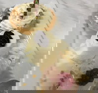 The Archie Secret Cafe - ACT Tourism