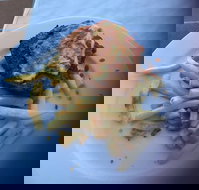 Bayside Inn - ACT Tourism