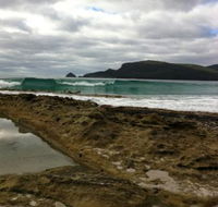 Bruny Island Berry Farm - ACT Tourism