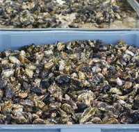 Lease 65 - ACT Tourism