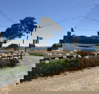 Penguin  Pardalote Coffee House - ACT Tourism
