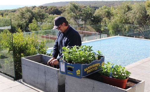 Other Side Of The Moon Restaurant - ACT Tourism 5