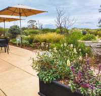 Arid Lands Botanic Garden Cafe - ACT Tourism