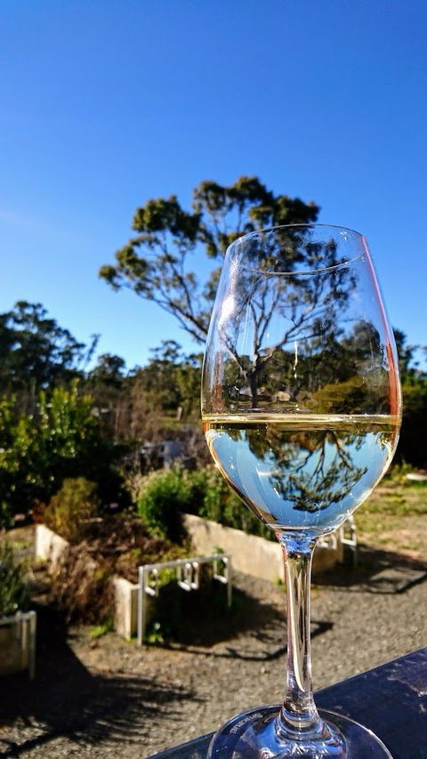 Mocandunda Cellar Door And Restaurant - ACT Tourism 7